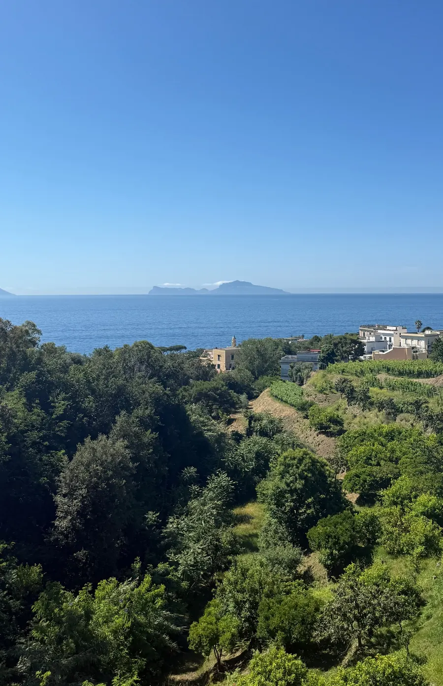 Photo of nature by Alejandro: Naples