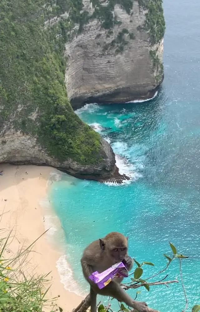 Photo of nature by Alejandro: Kelingking, Nusa Penida