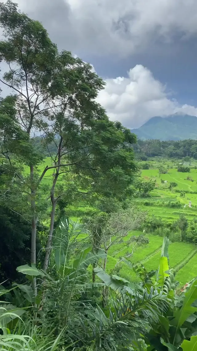 Photo of nature by Alejandro: Bali