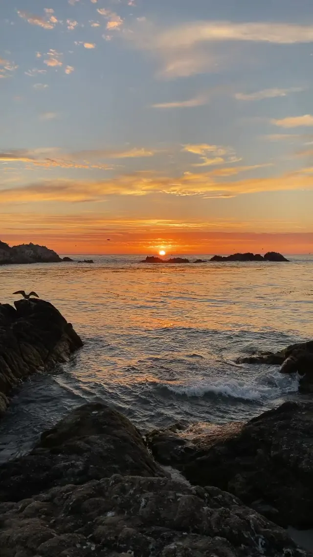 Photo of nature by Alejandro